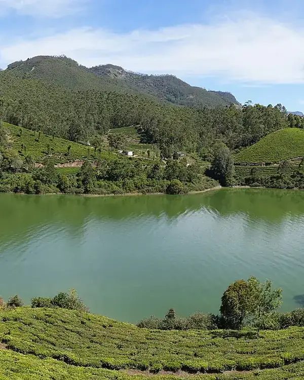 Munnar, wedding and event destination